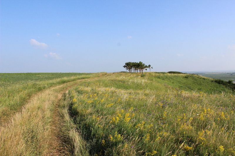 Лилия, Russia
