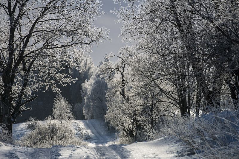 Oбочиныphoto preview