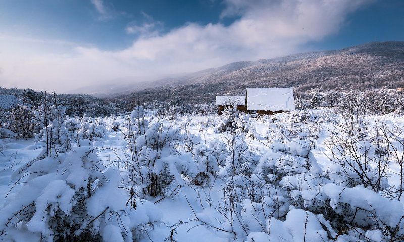 кружева зимыphoto preview