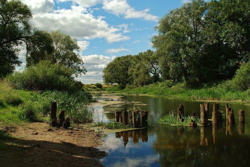 Александр Голубев, Russia