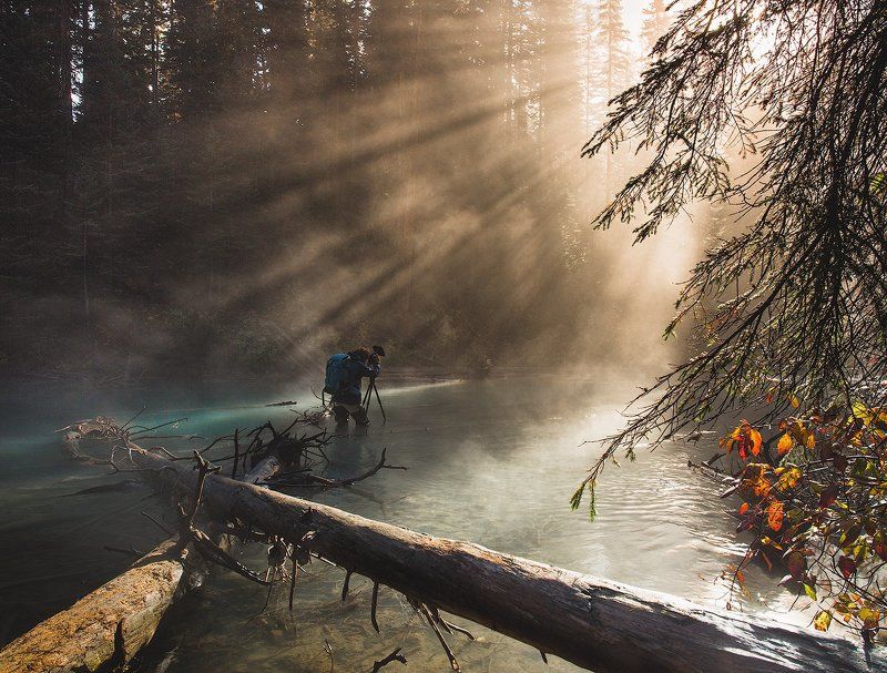 Дирижируя светомphoto preview