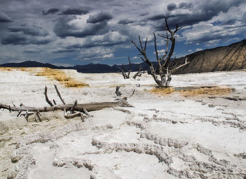 WHAT DREAMS MAY COMEphoto preview