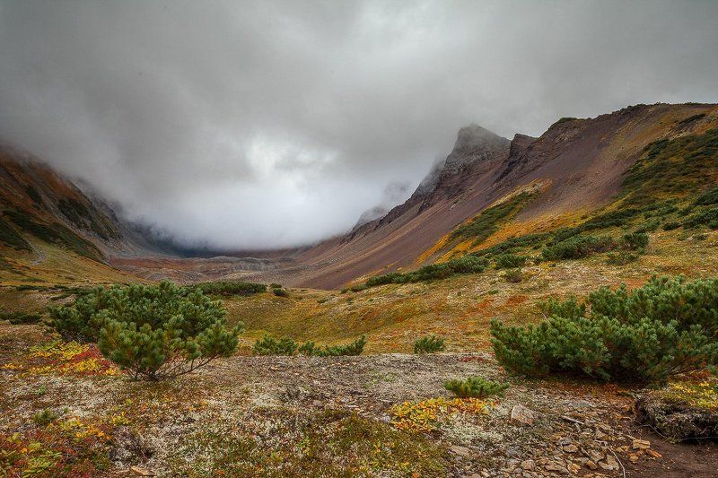 Вачкажец, Горы, Камчатка, Тундра Высокогорная тундраphoto preview
