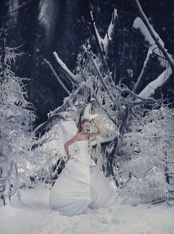 Королевстов во льдахphoto preview