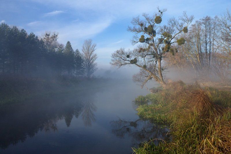 . . . фото превью