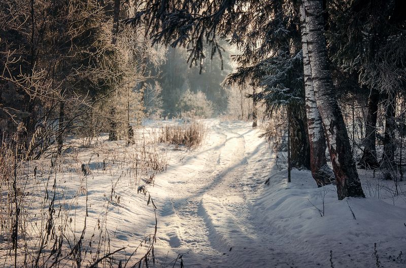 Марина Козина, Russia