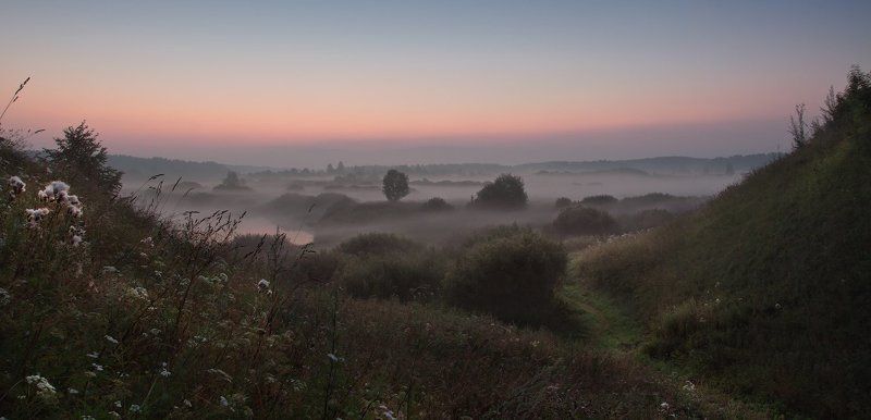 тригорское, псковская область, июль Белой скатертью...photo preview
