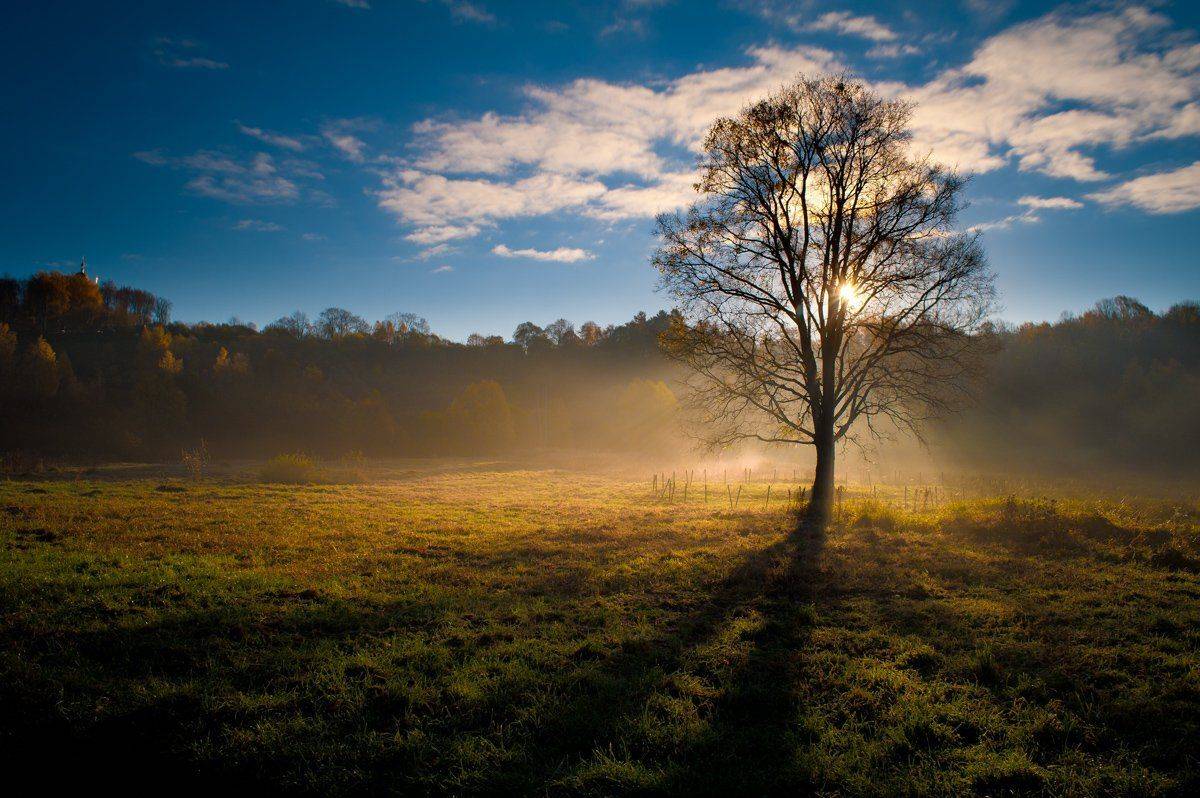 Ловец солнца.. Автор: Nikonzoom , Nikonzoom