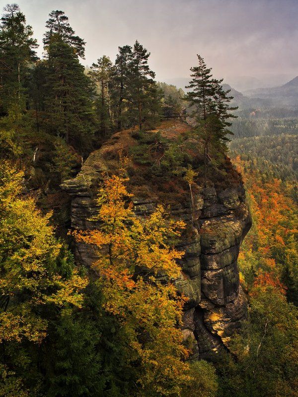 Осень пришлаphoto preview