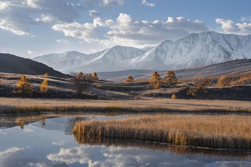 Джангысколь, осень, Алтай Осенний Джангыскольphoto preview