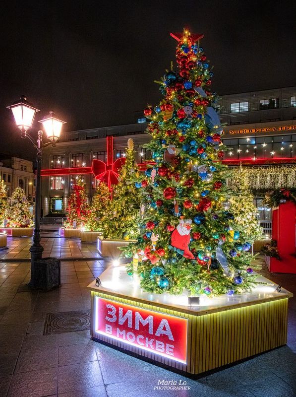 москва сказочныйлес огнибольшогогорода зимняясказка сказкавгороде рождество зима Сказочный лесphoto preview