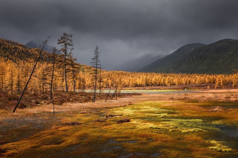 Страшно? Красиво? Страшно-красиво?...photo preview