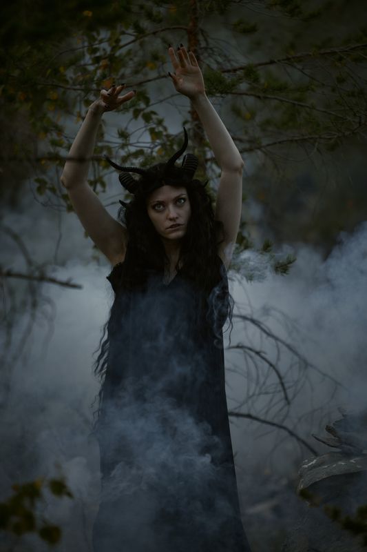 Мох фото превью