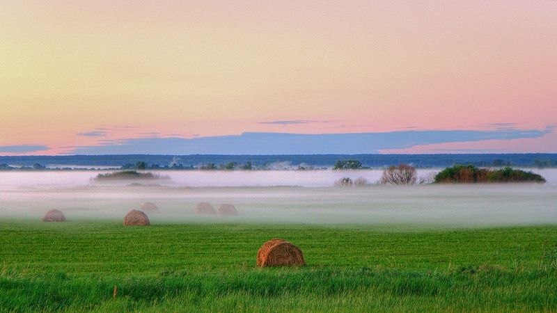 природа пейзаж лето рассвет восход поле туман Долина тумановphoto preview