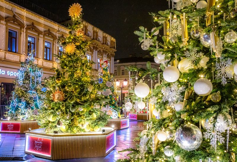 москва зима огинбольшогогорода зимняясказка рождествова Сказочный лесphoto preview