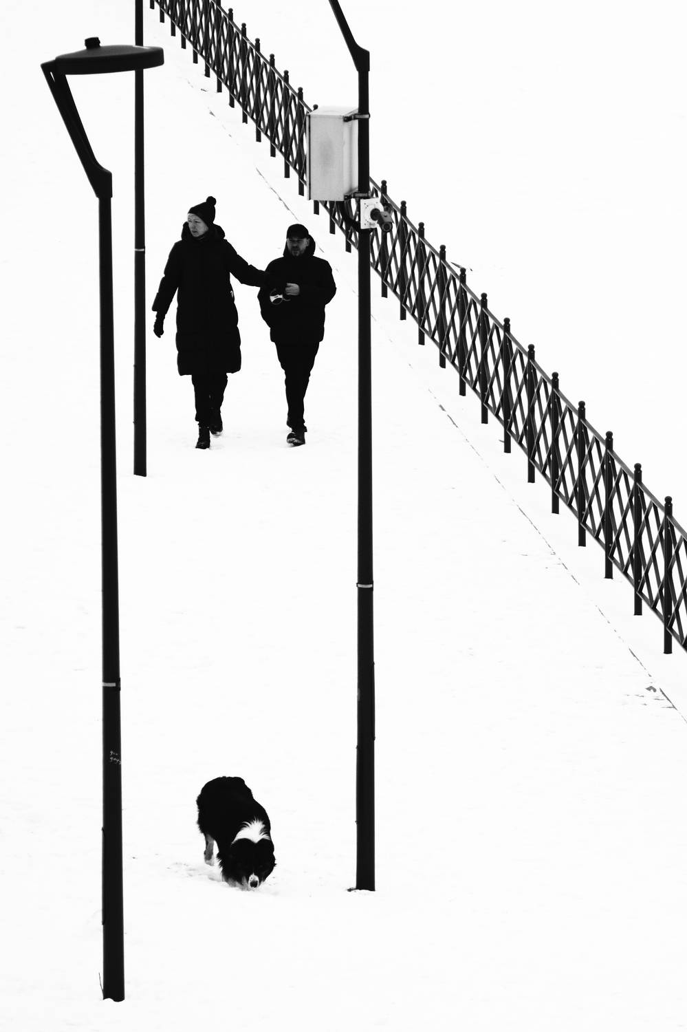 , Богачев Иван