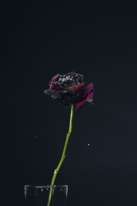 No namephoto preview