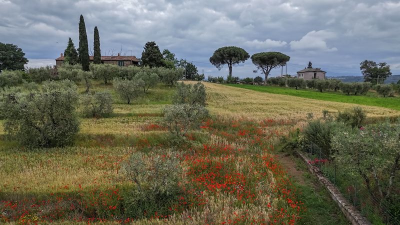 Весна в Витербо, Италияphoto preview