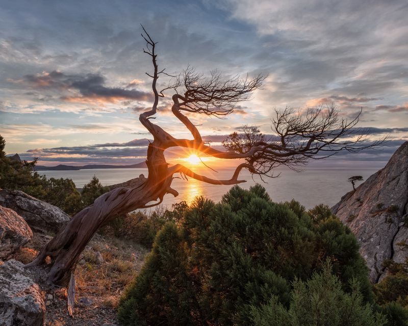 крым, новый свет, рассвет, утро, пейзаж, море, горы, crimea, landscape Долина Ада, больше похожая на Райphoto preview