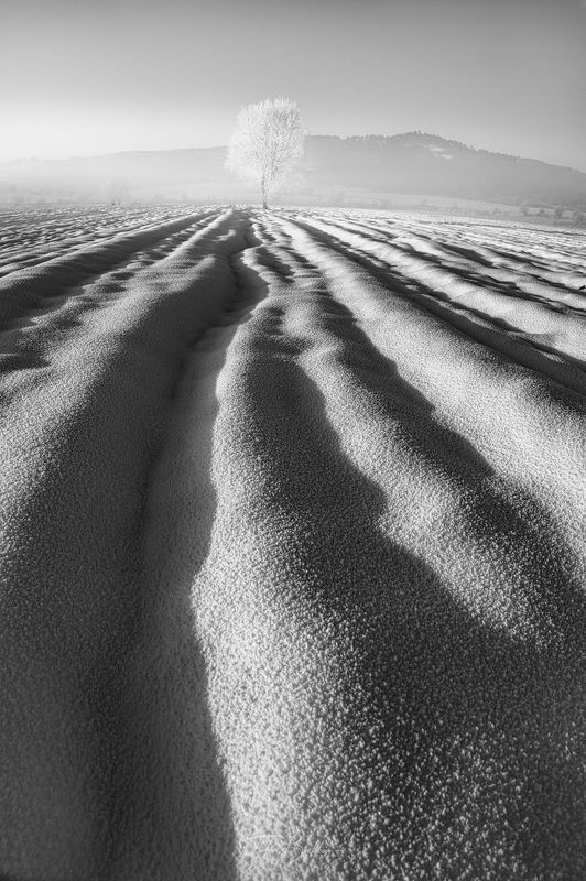 Freezing cold.photo preview