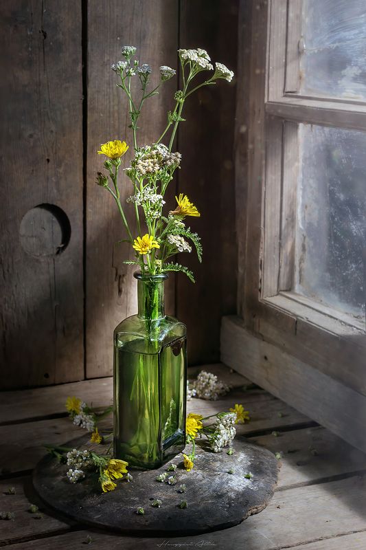 Vadvirágok tintásüvegbenphoto preview