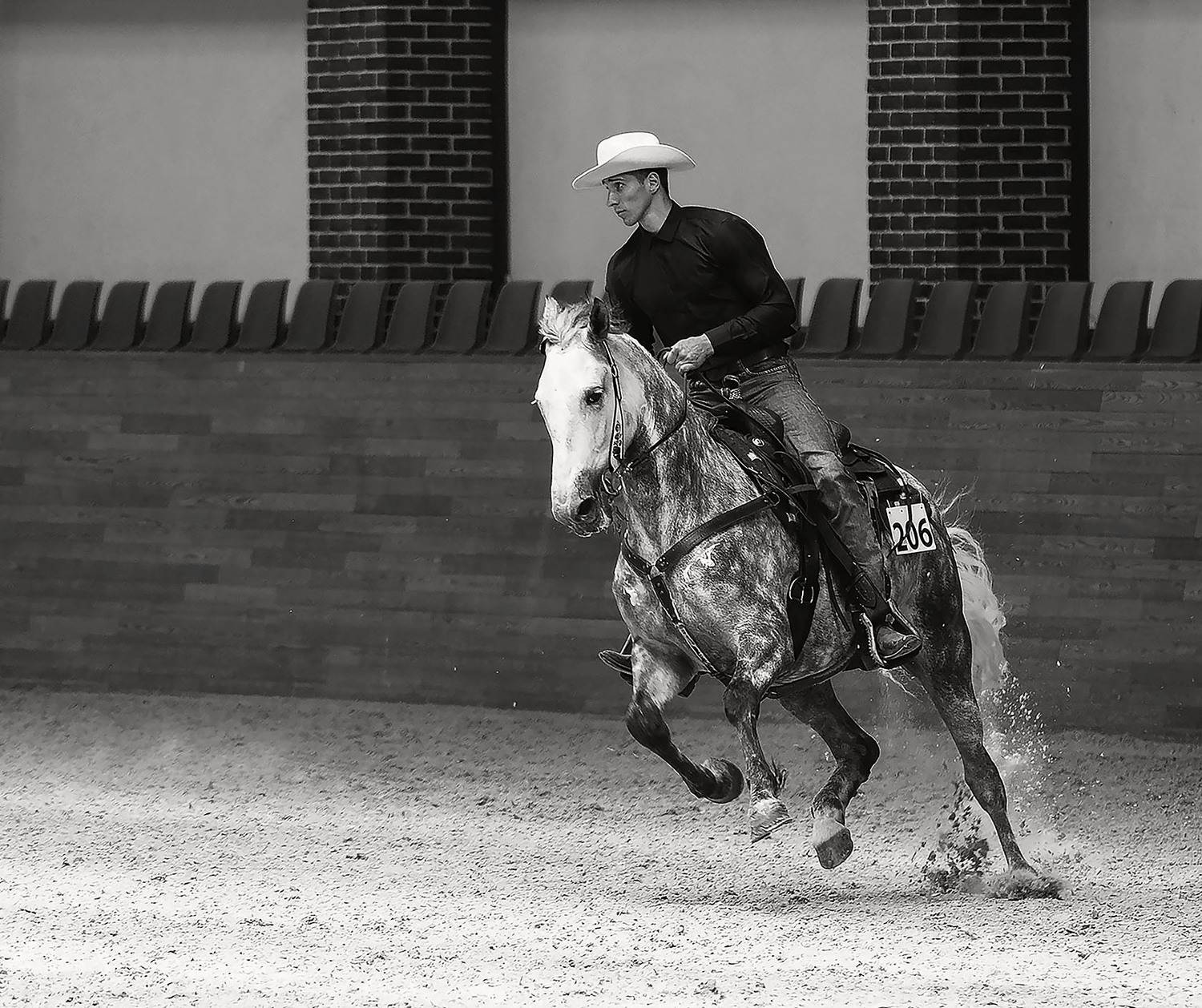 Вестерн. Автор: Стукалова Юлия спорт, вестерн, соревнования, horse, sport, movement, competition, Стукалова Юлия
