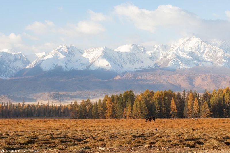 северо-чуйский хребет, алтай, горный алтай, панорама Северо-Чуйский хребетphoto preview