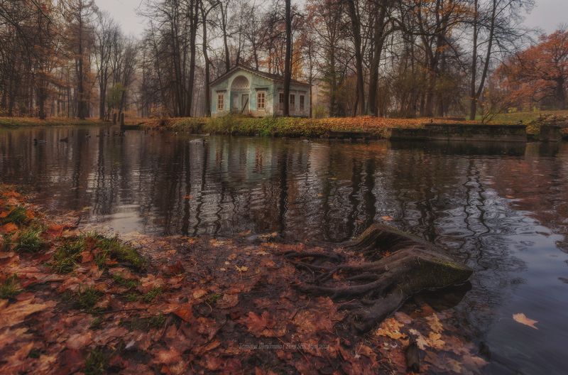 питер, пушкин, царское село, царское,  landscape, tsarskoye selo, autumn, туман, городской пейзаж, санкт-петербург, закат, александровский парк Октябрь в Царскомphoto preview