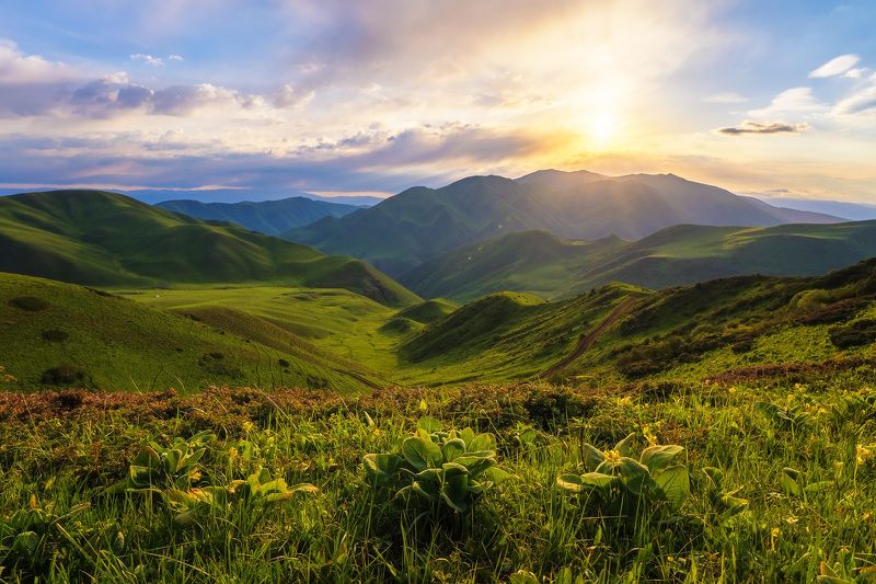 Утро на кыргызстанских холмахphoto preview