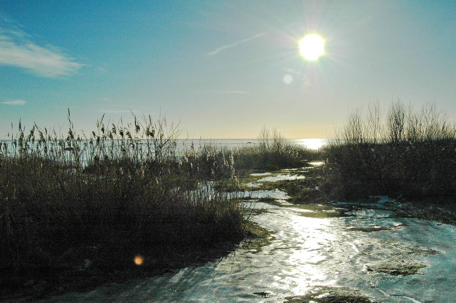 , Николаев Владимир