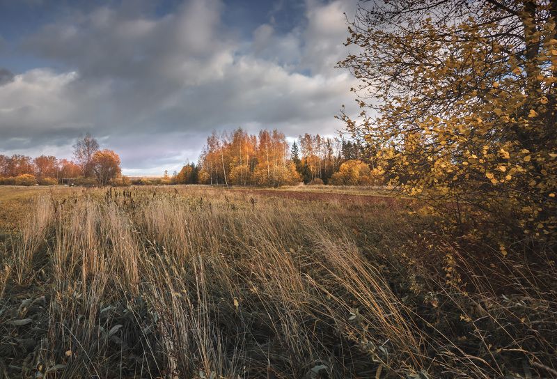 октябрь Торбеево Осенний ветер... фото превью