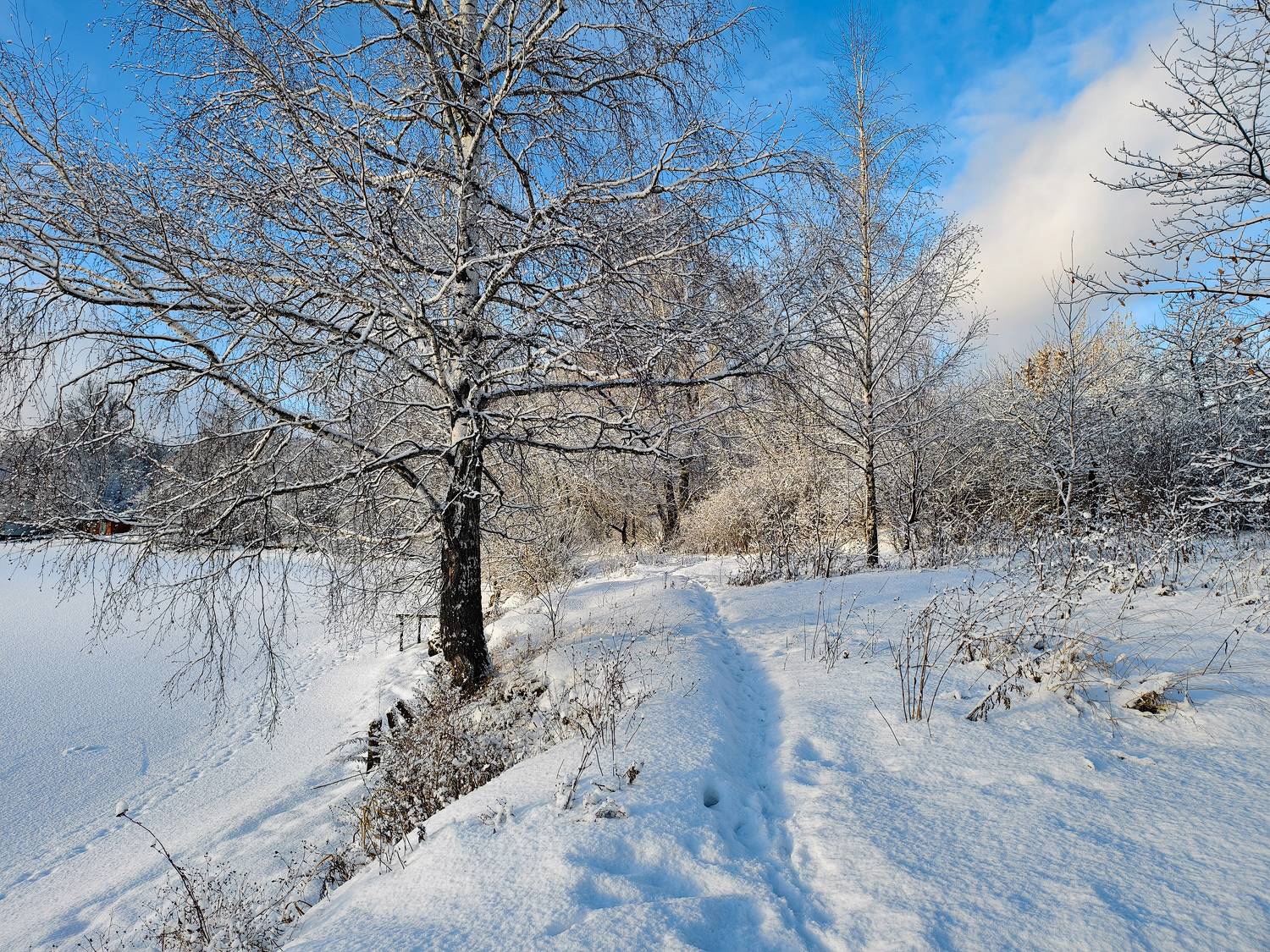 , Королев Саша