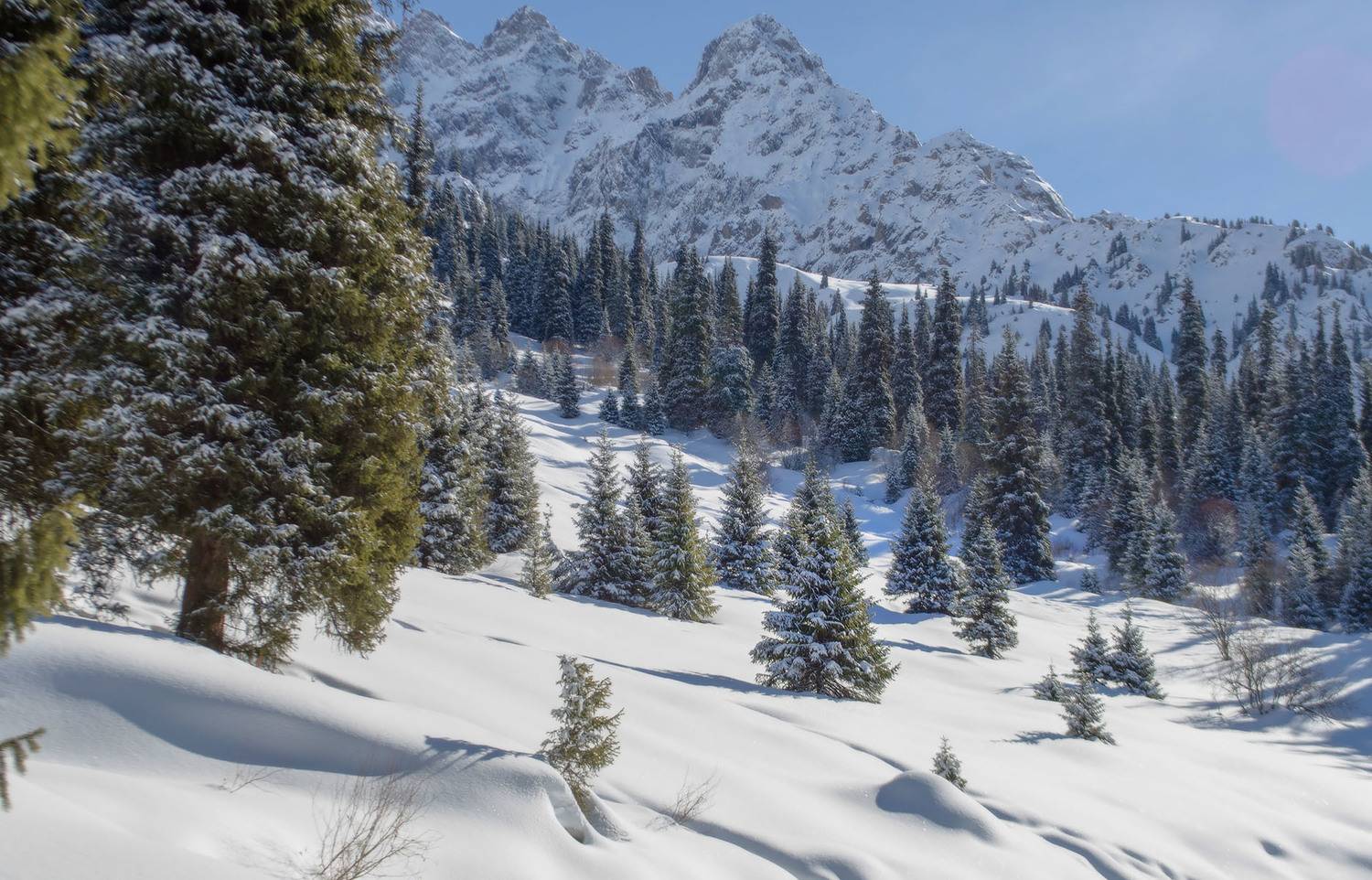 , Евгений Зинов