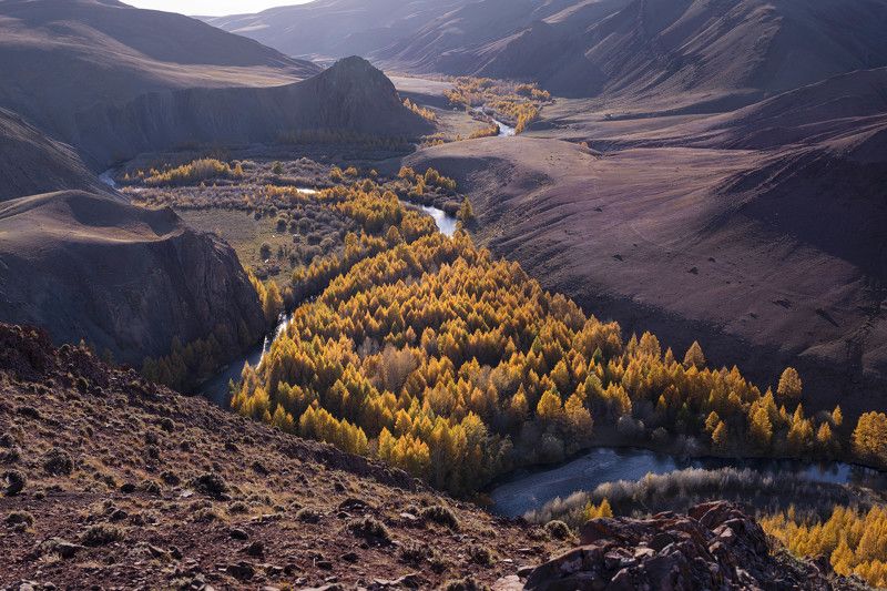 кокоря, алтай, осень Кокоряphoto preview