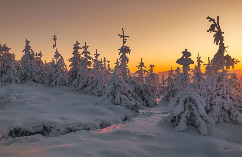 Zimowy poranekphoto preview