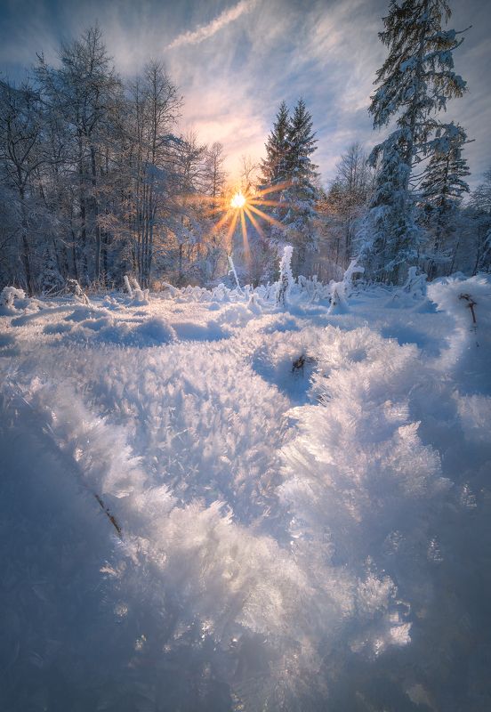 Landscape, snow, ice, sunset, travel, Germany, Bavaria, outdoors Raureifphoto preview