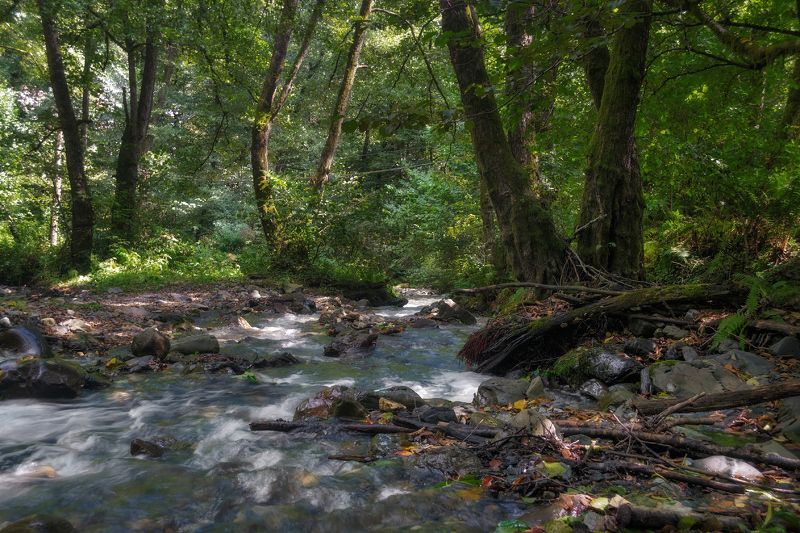 У реки .photo preview