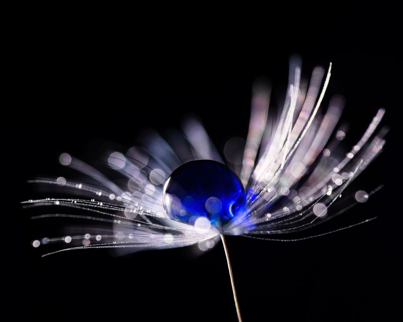 Голубая планетаphoto preview