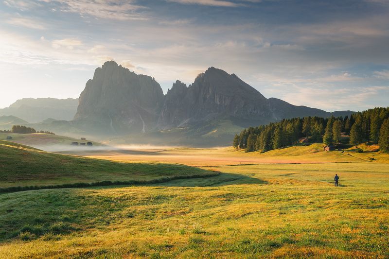 Alpe di Siusi, Dolomites, South Tyrol, mountains На горном лугуphoto preview