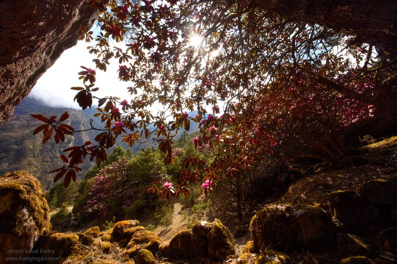 пейзажемагьё, пейзаж-как-виденье В пещере светочных занавесей …photo preview