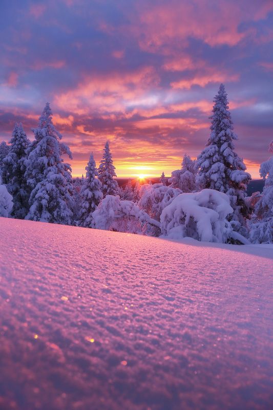 Уреньга, Южный Урал, Урал Зимний уральский рассветphoto preview