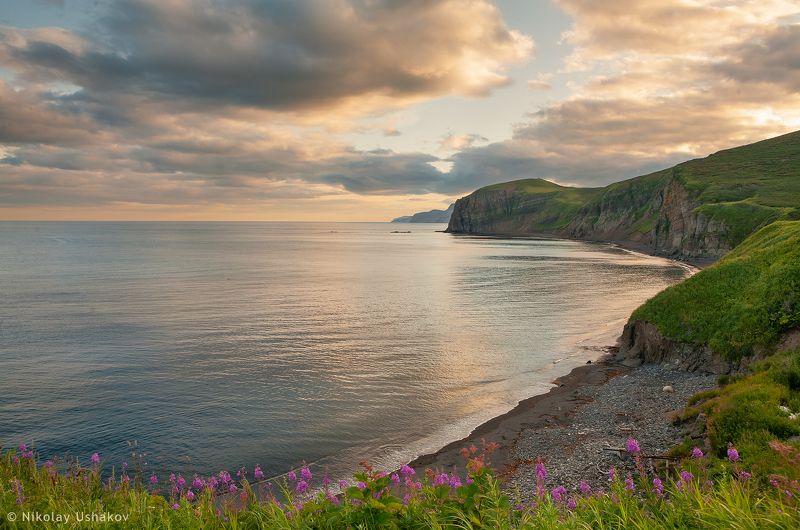 Камчатка, побережье вечер на Водопаднойphoto preview