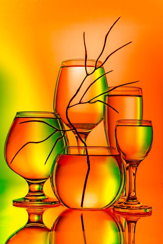 Вино, шампанское, посуда для напитков, барная посуда, бокал, для напитков, бокалы, тара, для коктейлей, жидкость, бокал для вина, искусство, группа бокалов с жидкостью в них. Бокалы и ветка.photo preview
