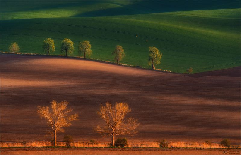 чехия, южная моравия, линии, свет, czech, south moravia, фототур, фототуры Грани цветаphoto preview