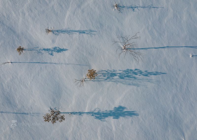ленинградская область, дерево, солнце, зима, мороз, рассвет, утро, днём, белое, болото, болотистое, тень, тени, сосна, аэросъёмка, рисунки, графика, Графика зимнего болотаphoto preview