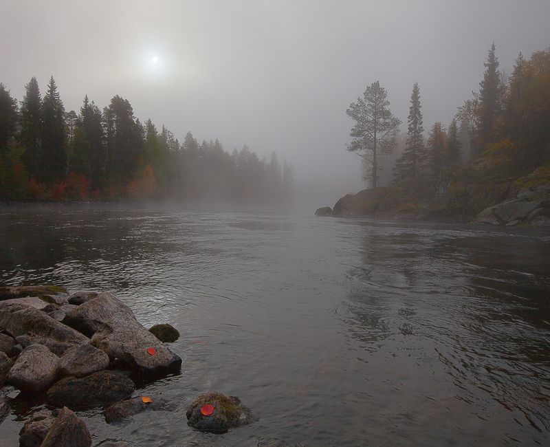 карелия, нац.парк паанаярви, река оланга, осень, туман. Осени туманное течение (2)photo preview