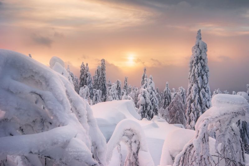 Морозный вечер в Каменном городеphoto preview