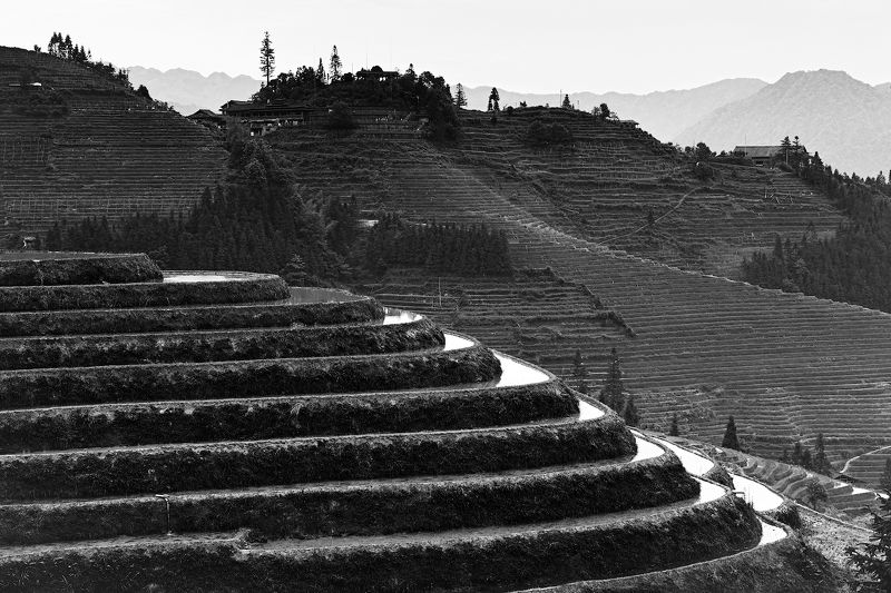 Графика рисовых террасphoto preview