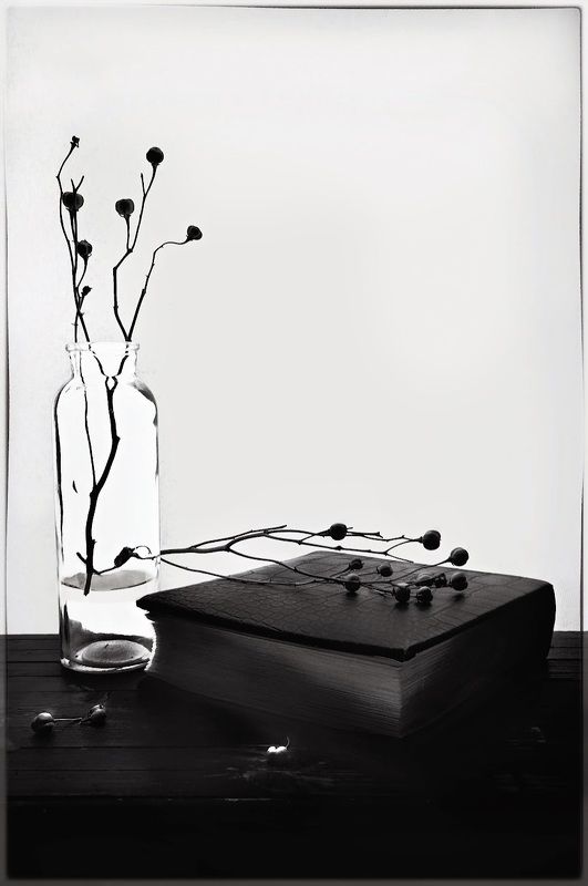 Знать,  жива ещё веточка рода...photo preview