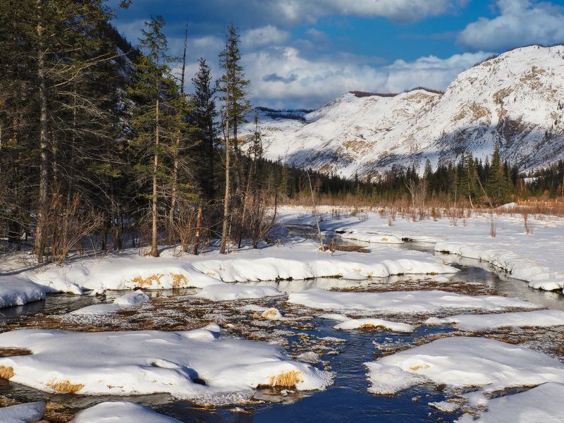 алтай, горный алтай. республика алтай, акташ Ещё не веснаphoto preview